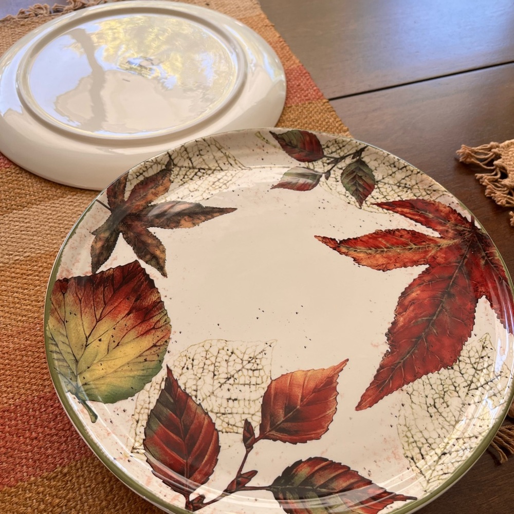 Pier1 Asheville 11 in Dinner Plate Retired Pattern